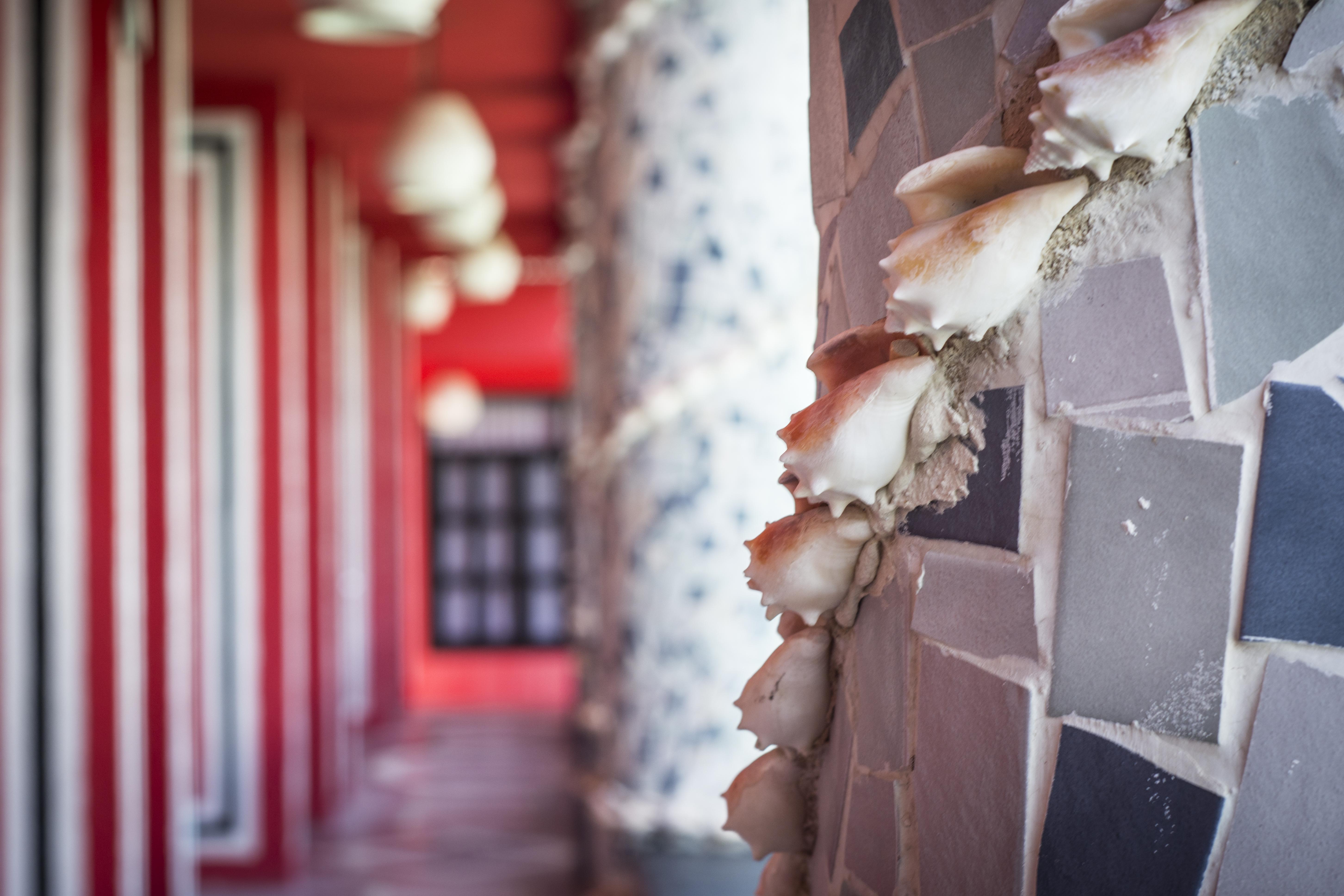 Maya Del Mar On Fifth Avenue Playa del Carmen Exterior foto